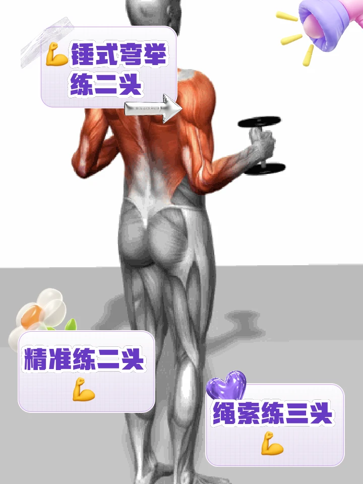 中学篮球战术训练方法有哪些_2